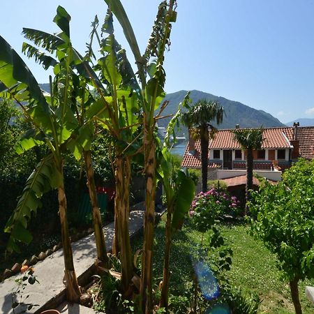 Apartments Popovic 2 Kotor Phòng bức ảnh
