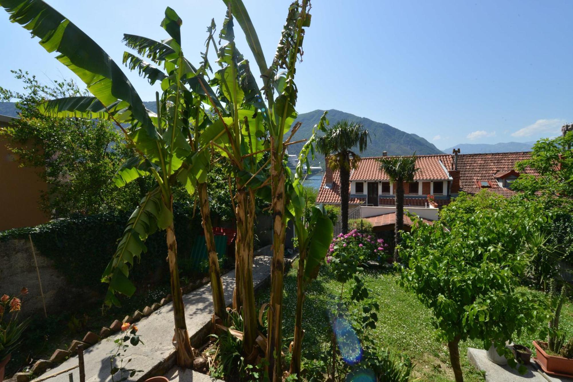 Apartments Popovic 2 Kotor Phòng bức ảnh