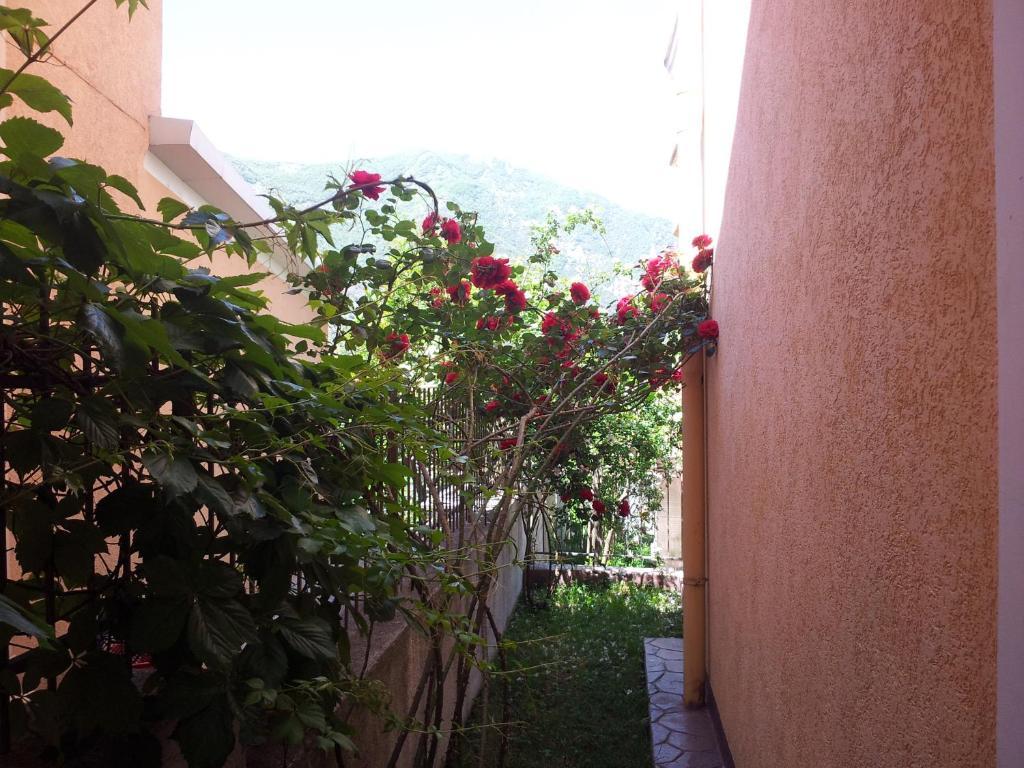 Apartments Popovic 2 Kotor Ngoại thất bức ảnh